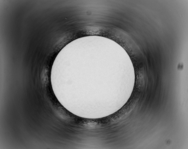 X0000103450598200810241147