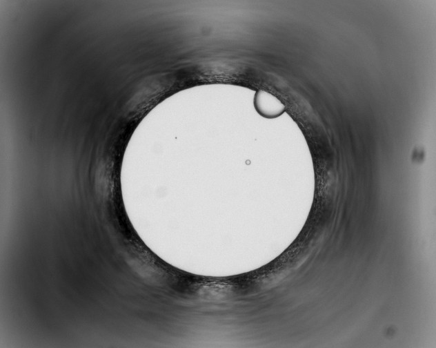 X0000103450599200810241147