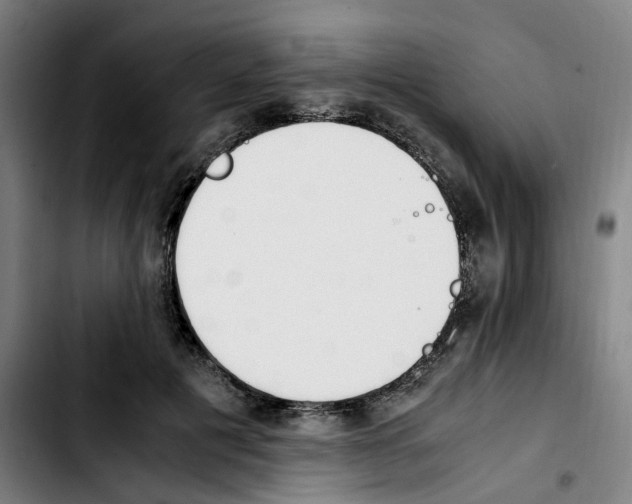 X0000103450601200810241147