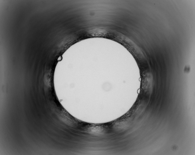 X0000103450604200810241147