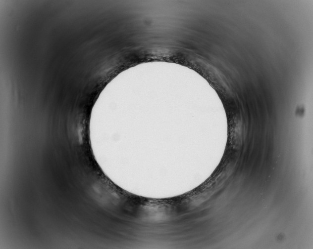 X0000103450608200810241147