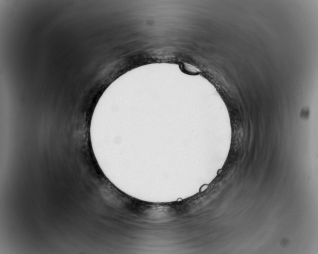 X0000103450609200810241147