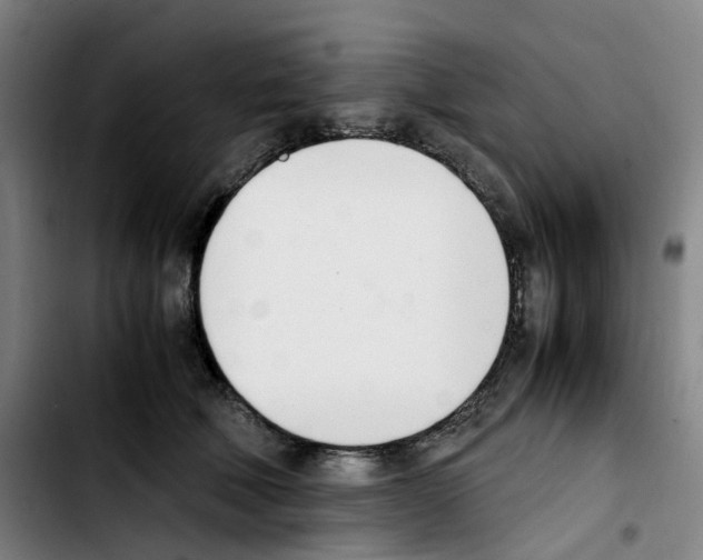 X0000103450610200810241147