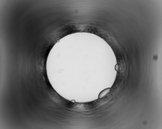 X0000103450611200810241147