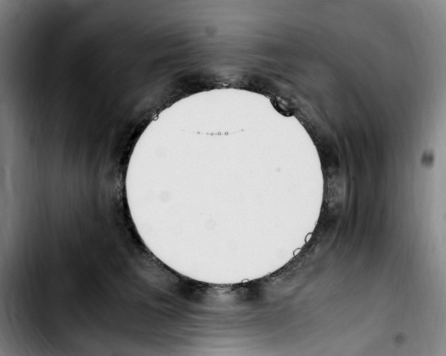 X0000103450613200810241147