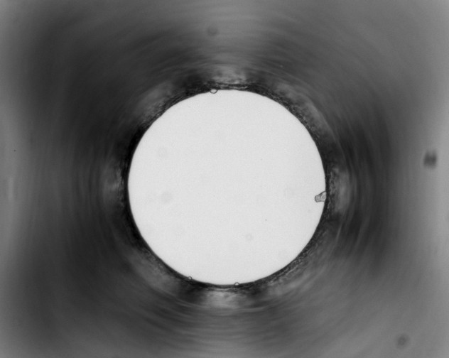 X0000103450614200810241147