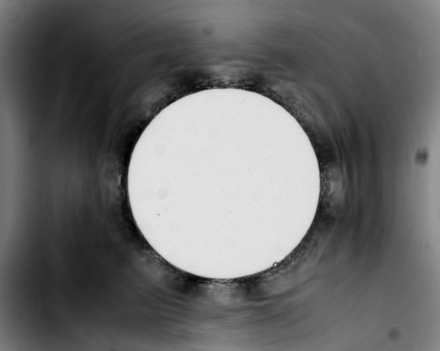 X0000103450615200810241147