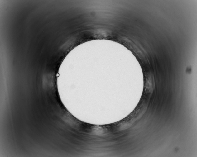 X0000103450616200810241147