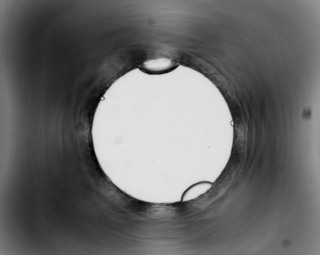 X0000103450617200810241147