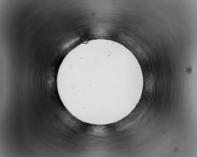 X0000103450618200810241147