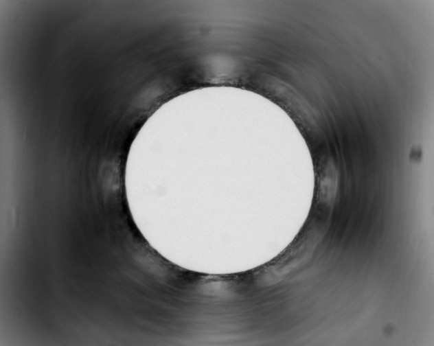 X0000103450620200810241147