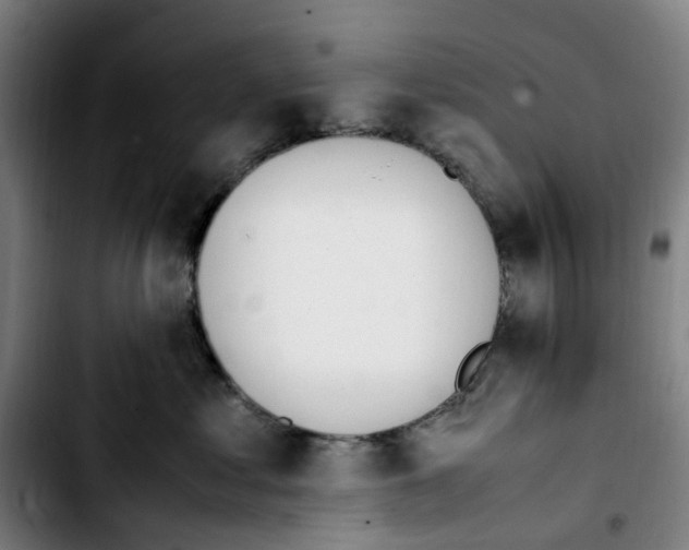 X0000103450621200810241147