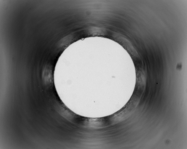 X0000103450622200810241147