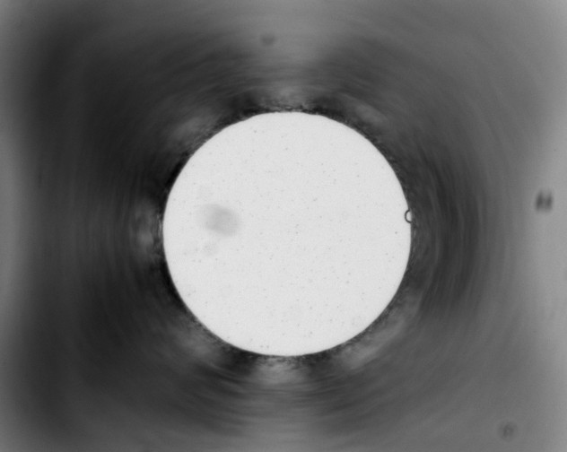 X0000103450624200810241147