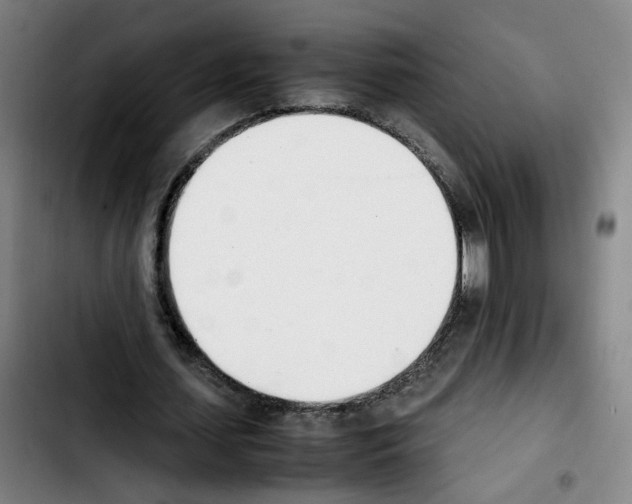 X0000103450627200810241146