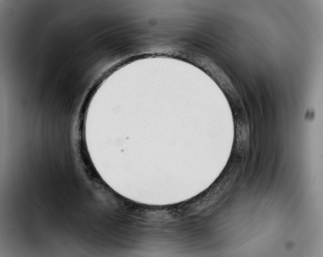 X0000103450628200810241146