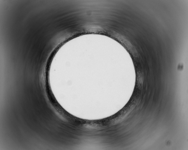 X0000103450630200810241146