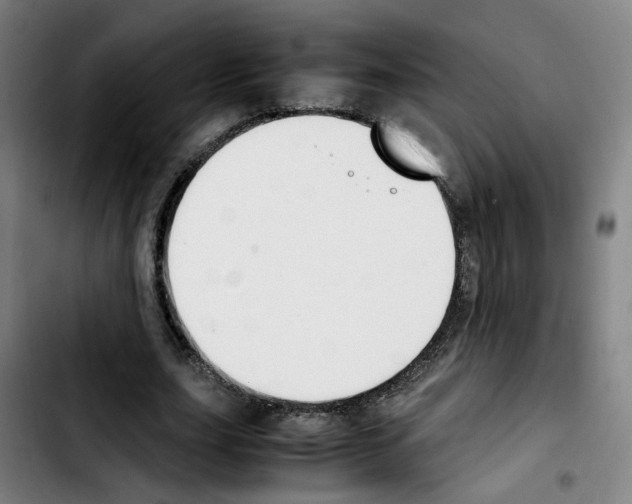 X0000103450631200810241146