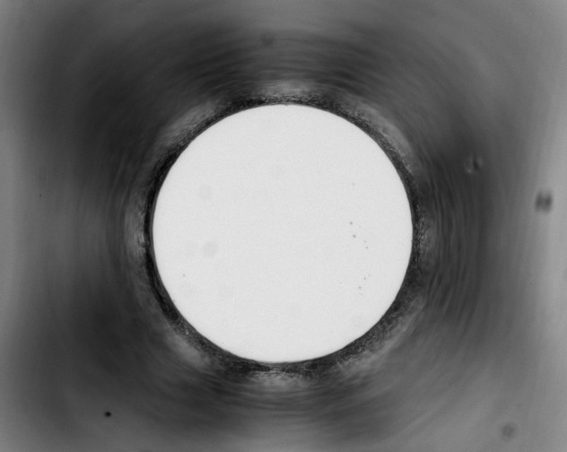 X0000103450633200810241146