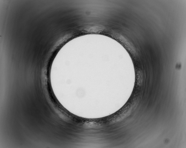 X0000103450634200810241146