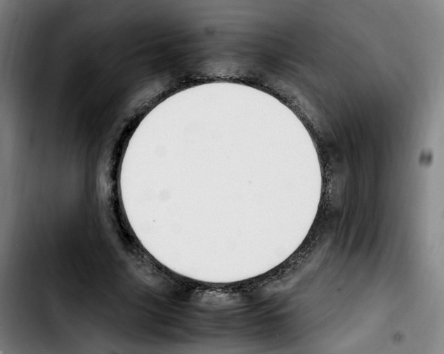 X0000103450635200810241146