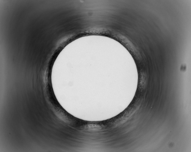 X0000103450636200810241146