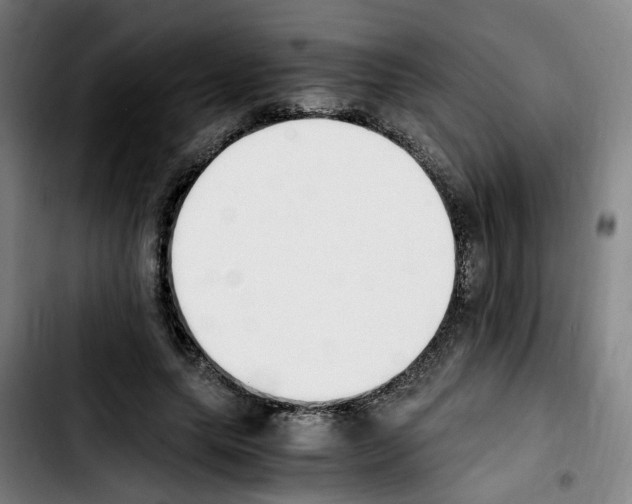 X0000103450639200810241146