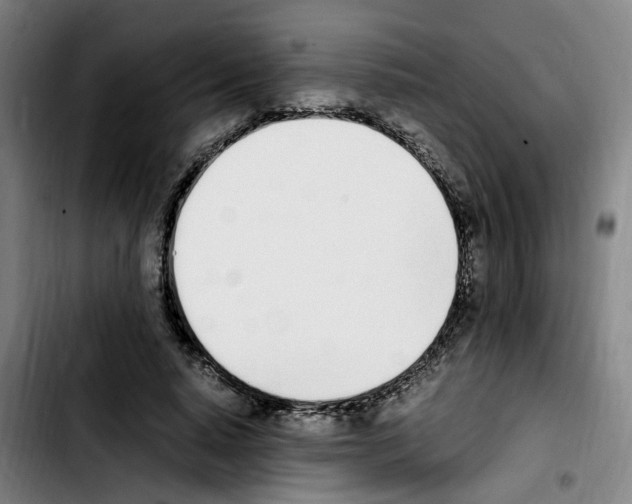 X0000103450640200810241146