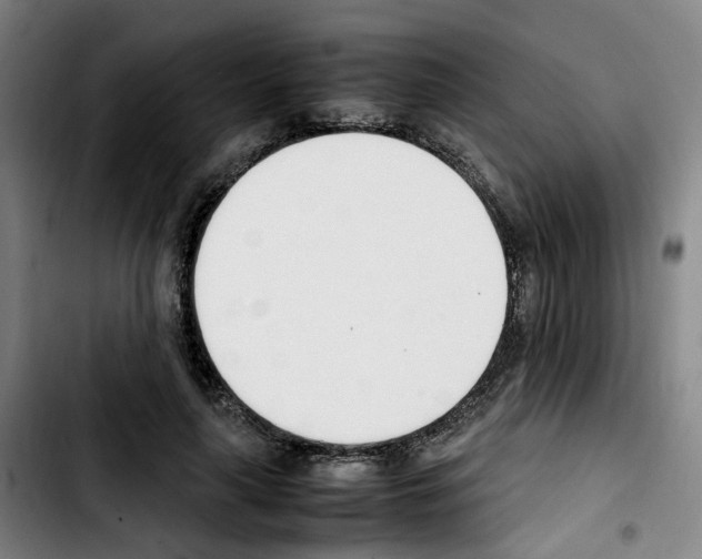 X0000103450643200810241146