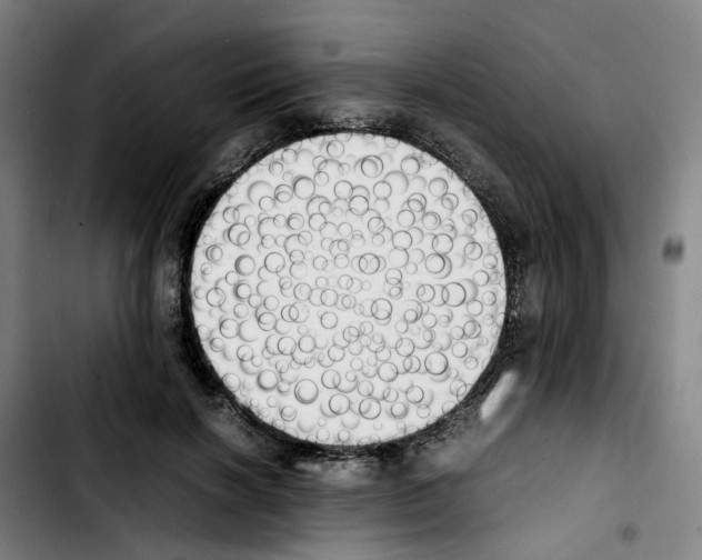 X0000103450646200810241146