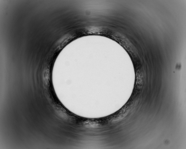 X0000103450648200810241146