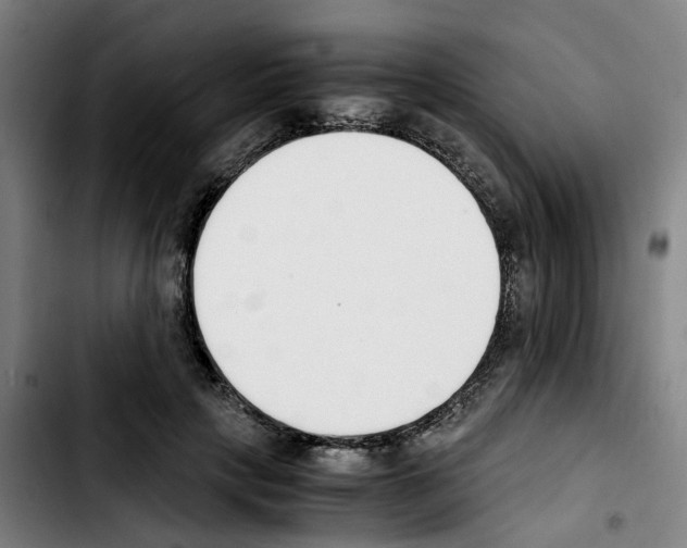 X0000103450649200810241146