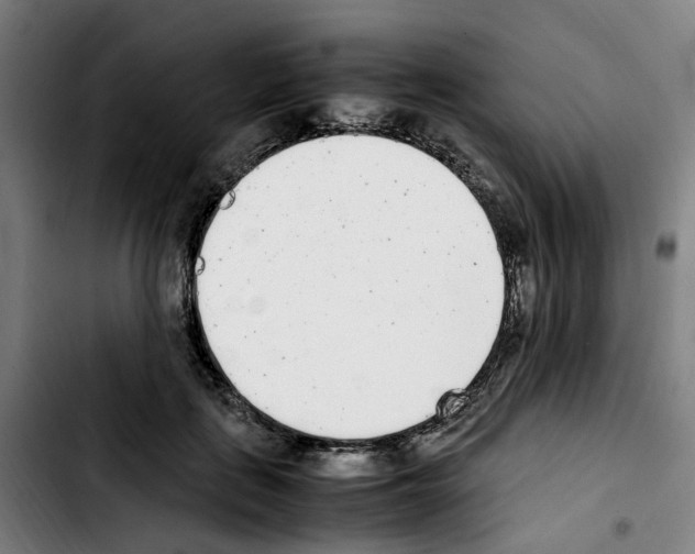 X0000103450651200810241146