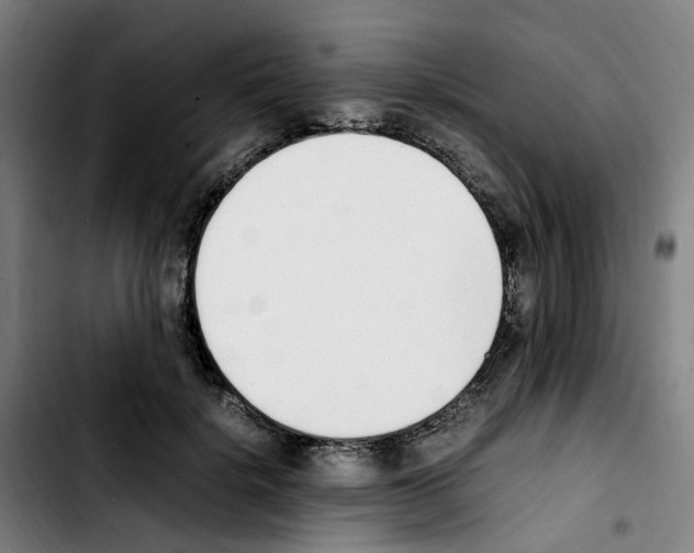 X0000103450652200810241146