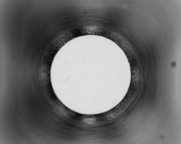 X0000103450653200810241146