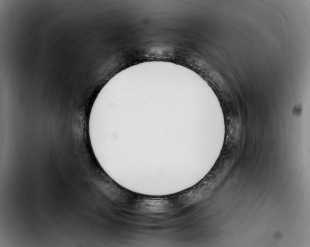 X0000103450659200810241146