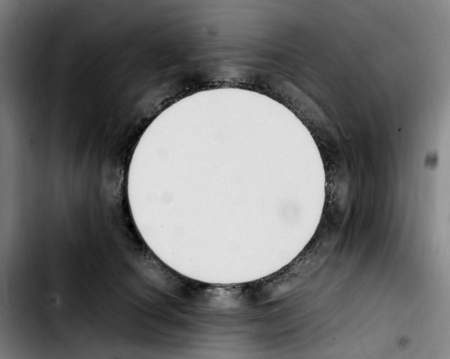 X0000103450660200810241146