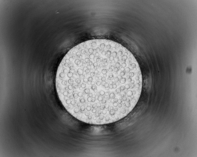 X0000103450662200810241146