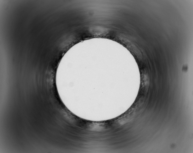 X0000103450664200810241147