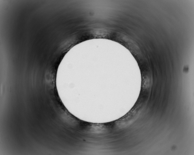 X0000103450666200810241147