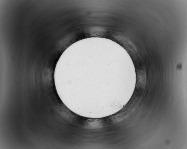 X0000103450667200810241147