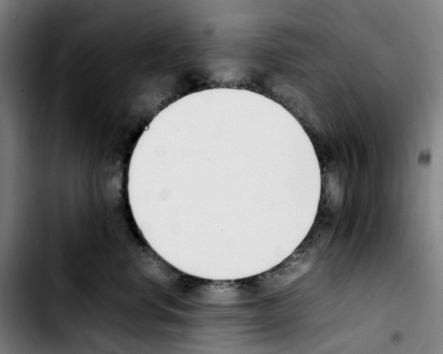 X0000103450668200810241147