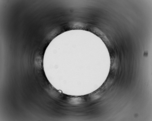 X0000103450669200810241147