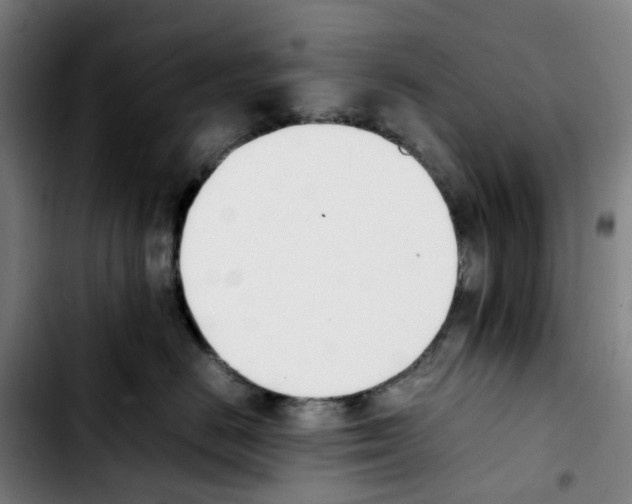 X0000103450670200810241147