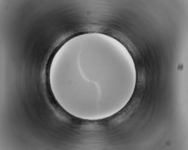 X0000103450674200810241146