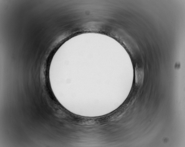 X0000103450675200810241146