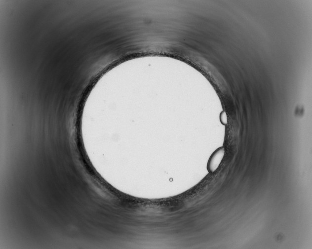 X0000103450677200810241146