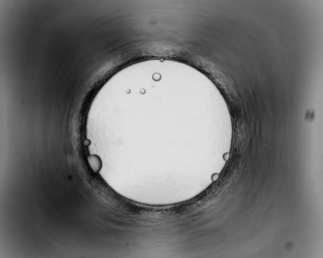 X0000103450679200810241146