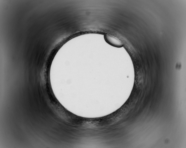 X0000103450680200810241146