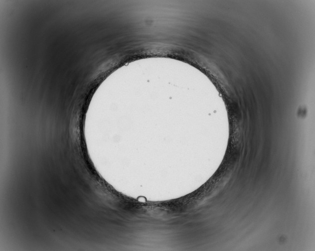 X0000103450681200810241146